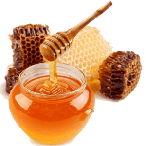 Sundarban Natural Honey